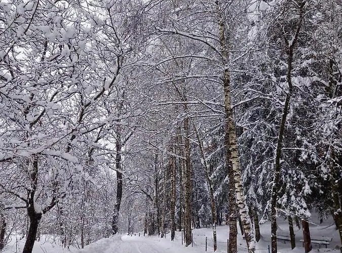 La Sofiètta Appartement *